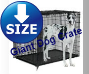 giant dog crate